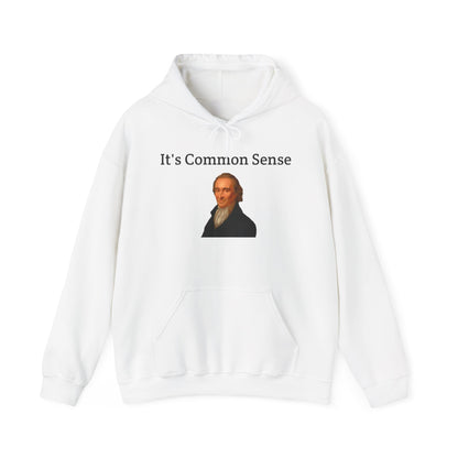 It's Common Sense Hoodie