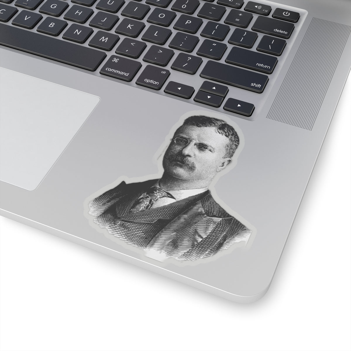 Theodore Roosevelt Sticker