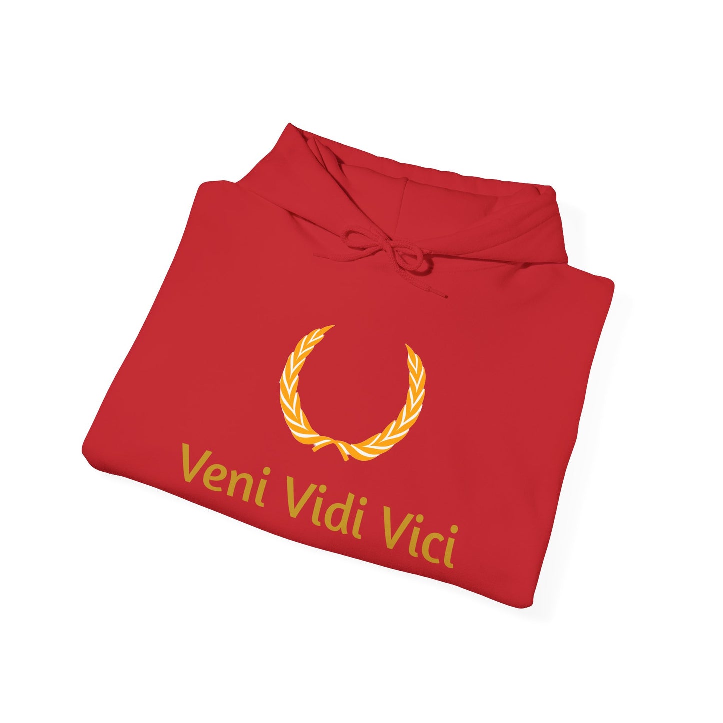 Roman Veni Vidi Vici Unisex Heavy Blend Hoodie