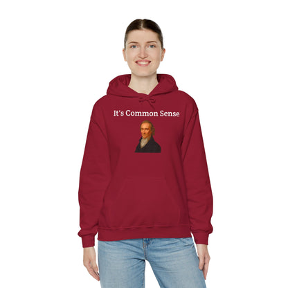 It's Common Sense Hoodie