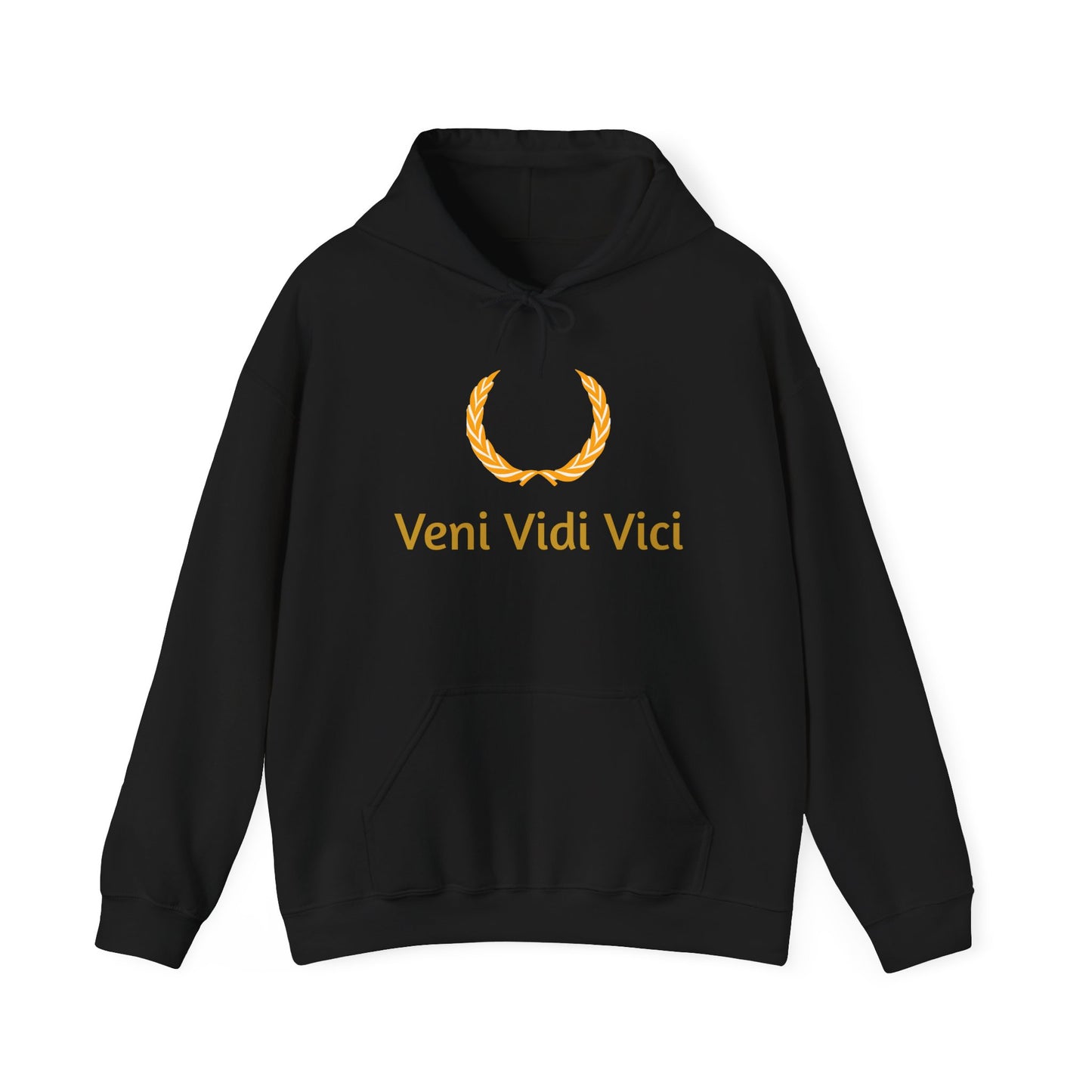 Roman Veni Vidi Vici Unisex Heavy Blend Hoodie