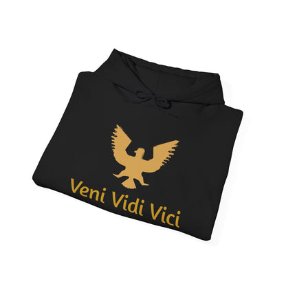 Roman Veni Vidi Vici Unisex Heavy Blend Hoodie