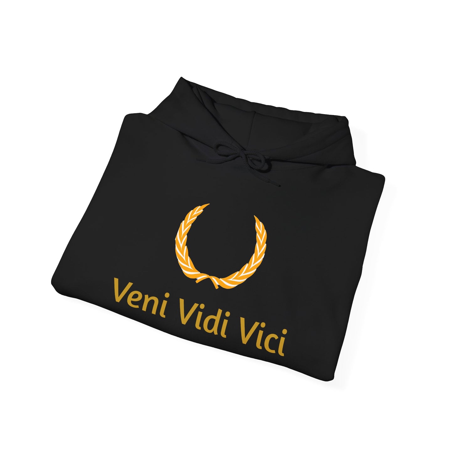 Roman Veni Vidi Vici Unisex Heavy Blend Hoodie