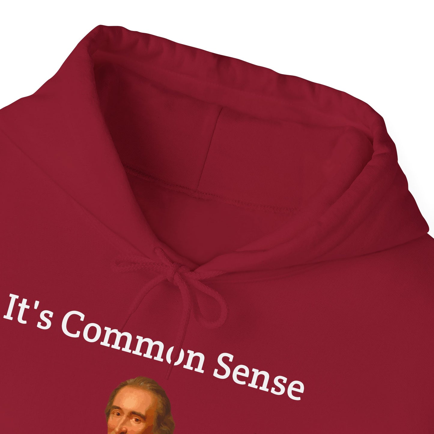 It's Common Sense Hoodie