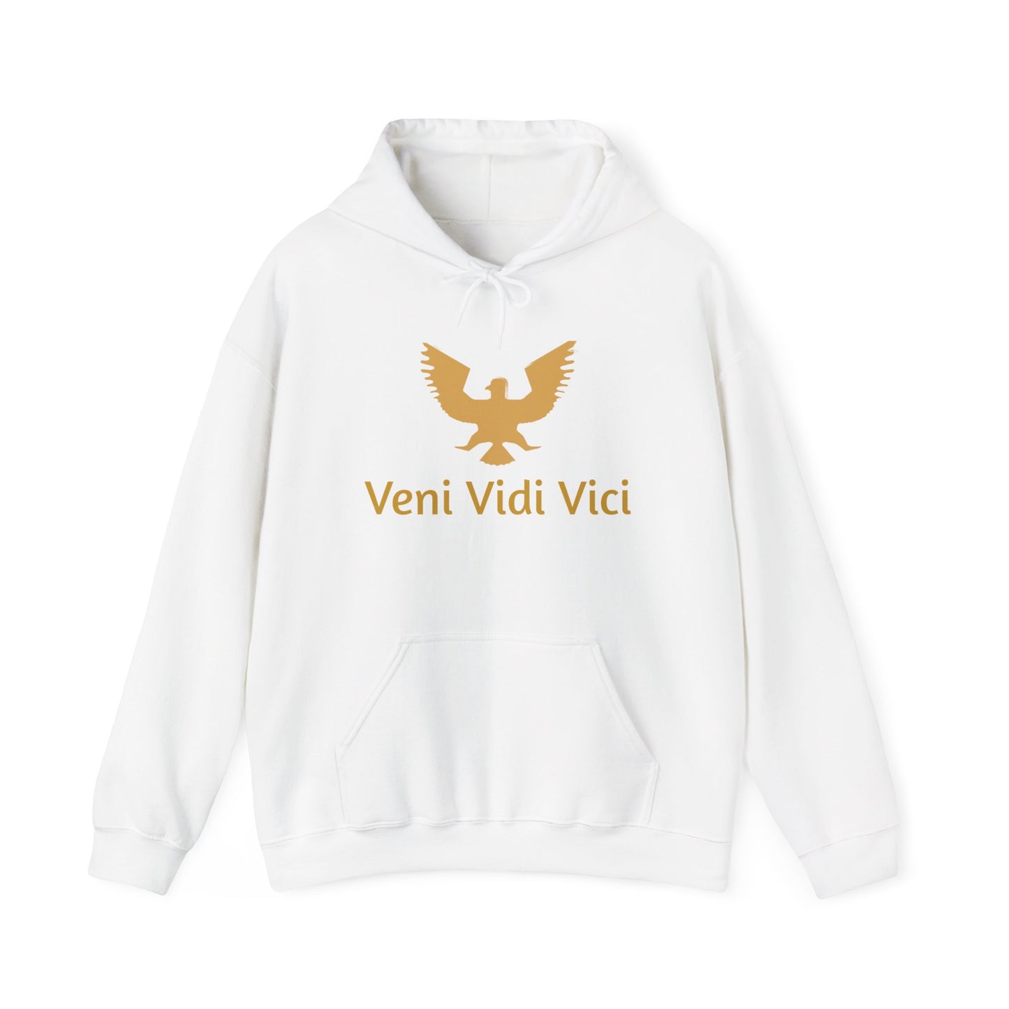 Roman Veni Vidi Vici Unisex Heavy Blend Hoodie