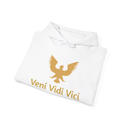 Roman Veni Vidi Vici Unisex Heavy Blend Hoodie