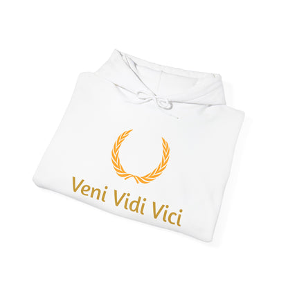 Roman Veni Vidi Vici Unisex Heavy Blend Hoodie