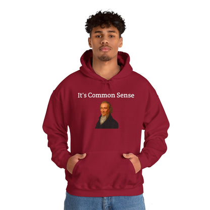 It's Common Sense Hoodie